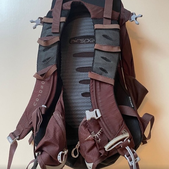 Osprey Women's Backpack in Dark Brown - Picture 4 of 12